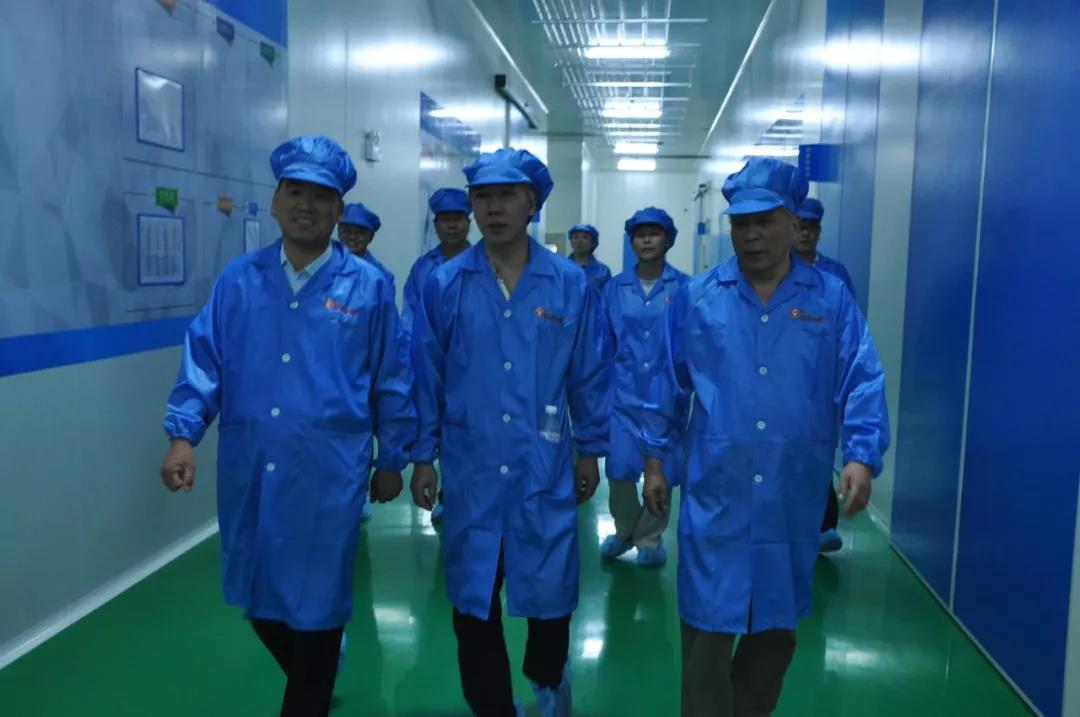 上海电缆研究所专家莅临阳谷电缆集团考察指导