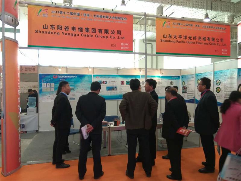 阳谷电缆集团参加第12届中国(济南) 国际太阳能利用大会暨展览会
