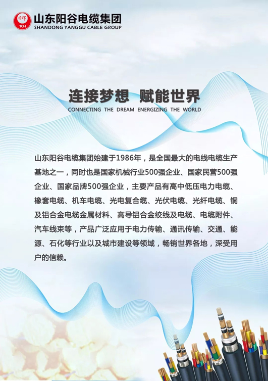 阳谷电缆集团“日辉”商标被认定为2017年度山东名牌